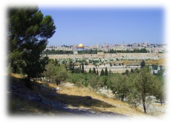 2024 03 Wilkinson TempleMount